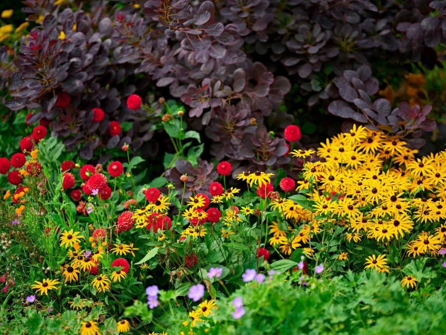 Walled-Garden-8