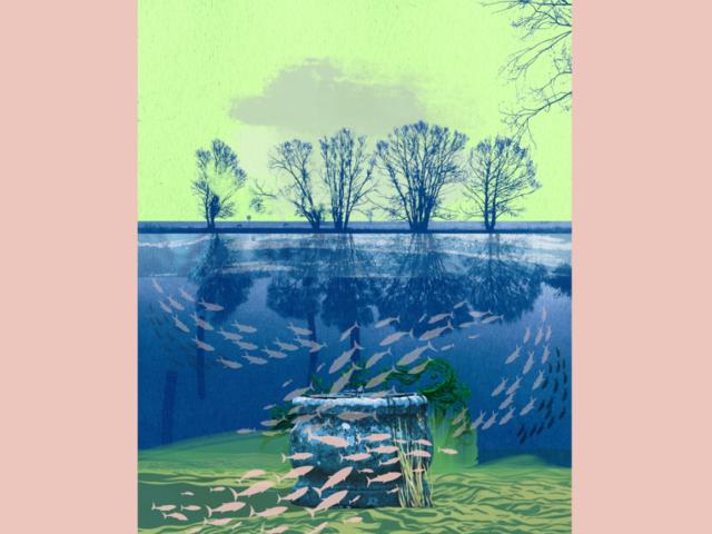 Cropped 4x3