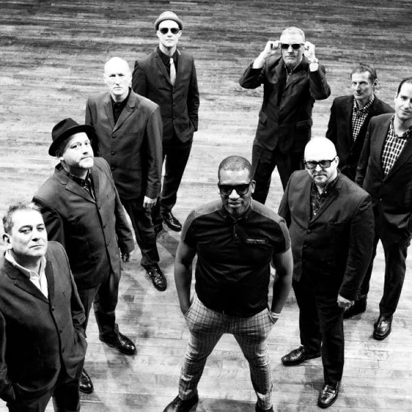 The Specials Ltd NF