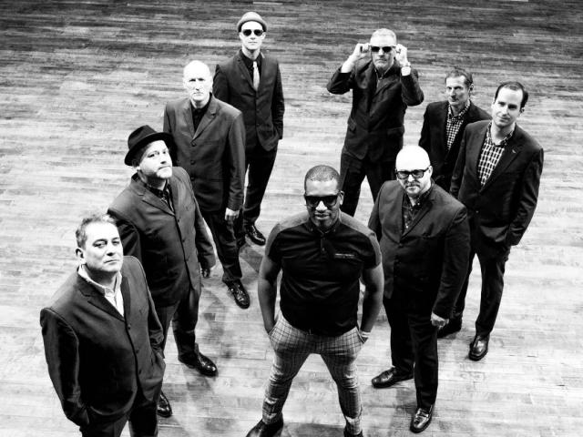 The Specials Ltd NF
