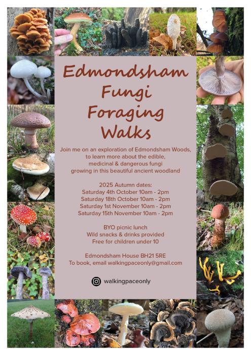 Foraging walks flyer Edmondsham Autumn 2025