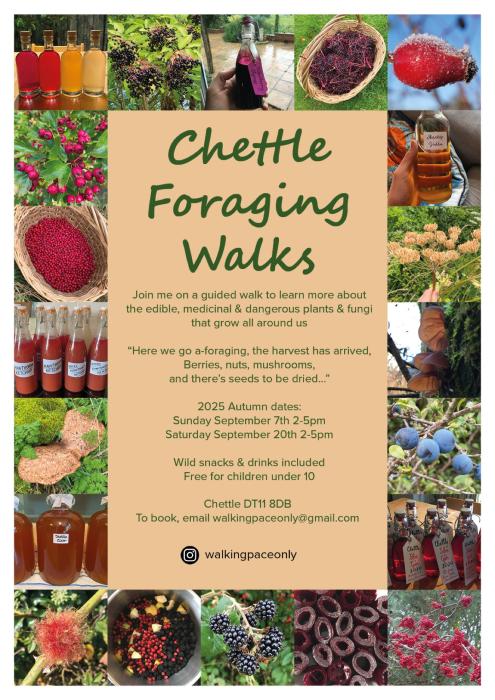 Foraging walks flyer Autumn 2025
