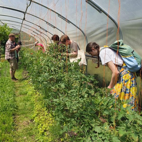 Garden-Folk-CIC-Get-Growing-Trail-2024-DIY-plant-breeding-workshop-1536x1152