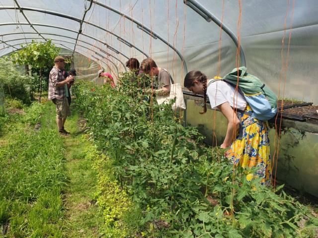 Garden-Folk-CIC-Get-Growing-Trail-2024-DIY-plant-breeding-workshop-1536x1152
