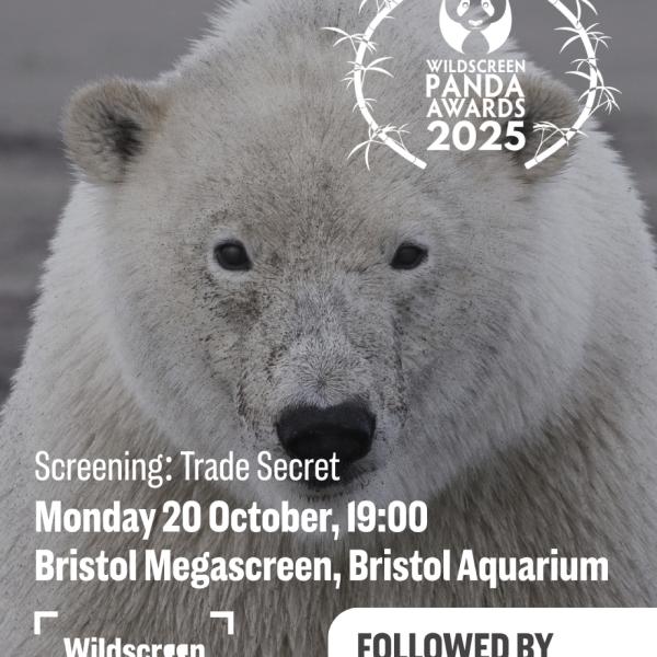 Trade Secret IG post
