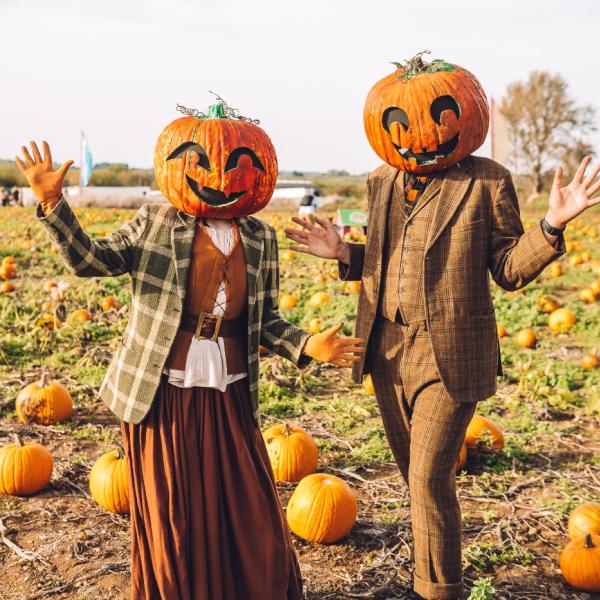 Avon Valley Pumpkin Patch 1st Oct WhatsOn 