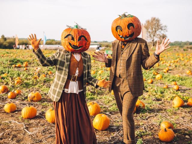 Avon Valley Pumpkin Patch 1st Oct WhatsOn 
