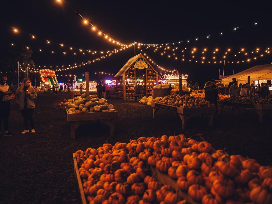 231007_PumpkinPatch_WebRes-00179 (1)