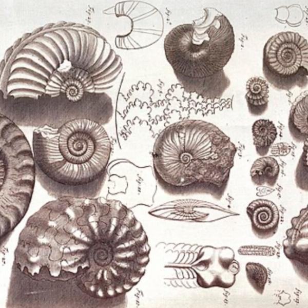 RS website events 1000x650 (1080 x 1350 px)