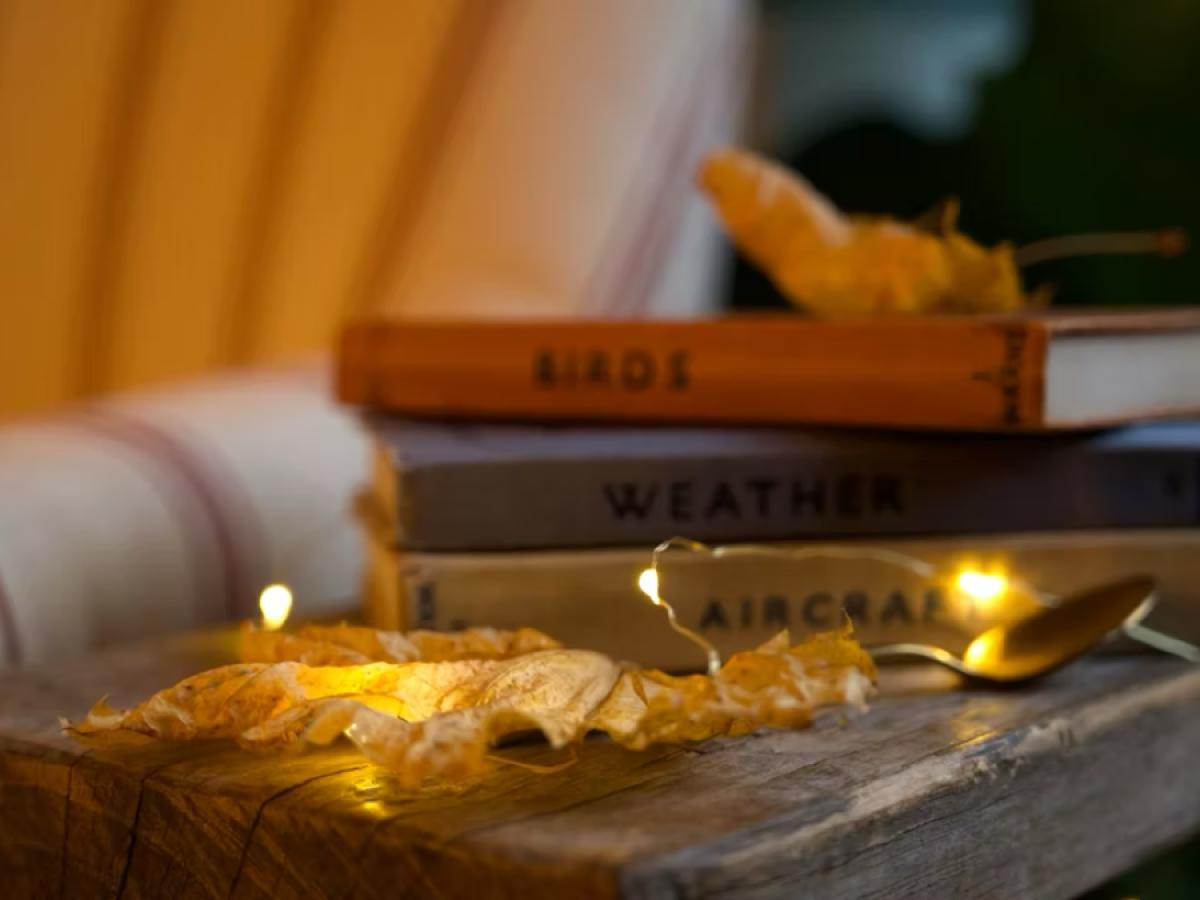 f674d3_8022e7dfad084930ade0bac13485bb37~mv2