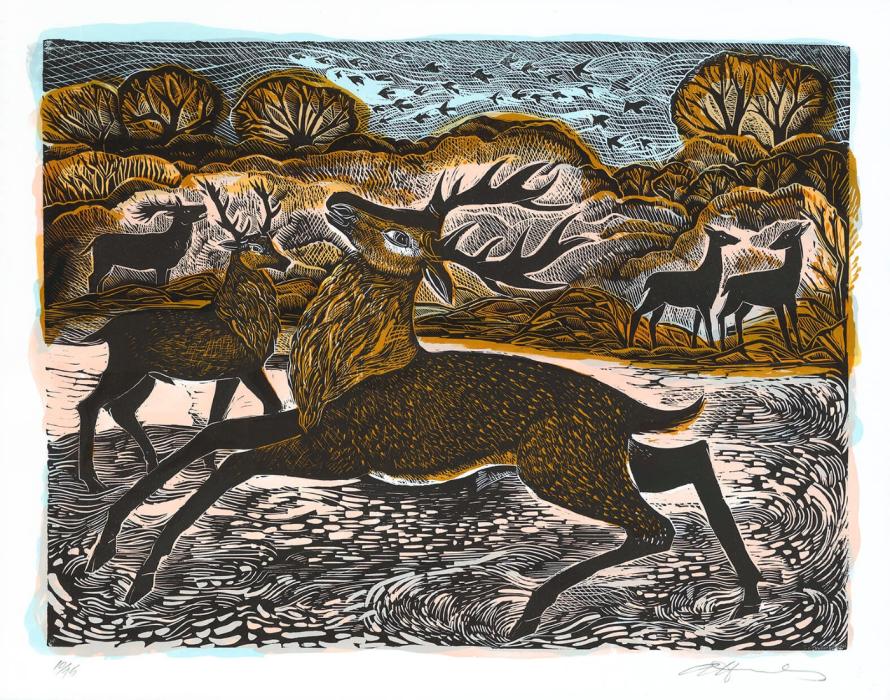 Small Knepp Red Deer Angela Harding and the Penfold Press