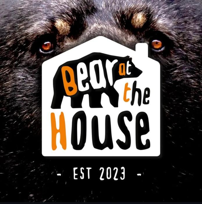 bear in the house