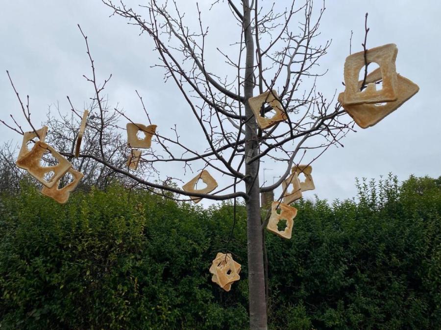 img-20250120-wa0017_orig