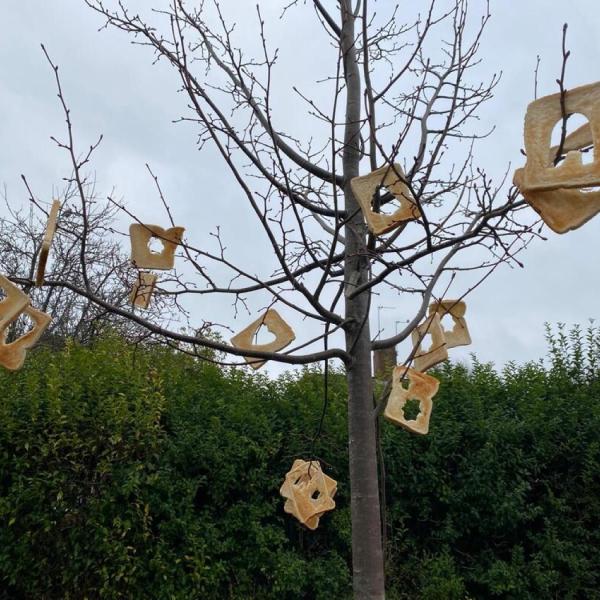 img-20250120-wa0017_orig