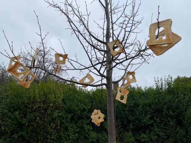 img-20250120-wa0017_orig