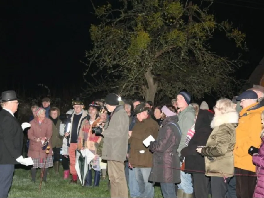 wassail-2-857x448