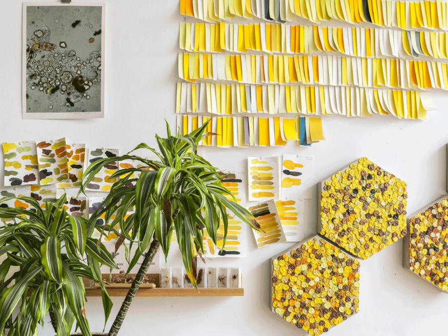 _com.apple.Pasteboard.YMuH8a