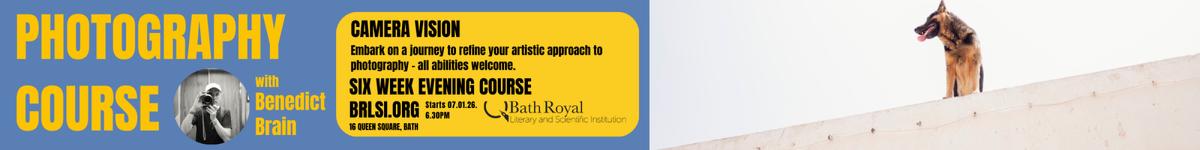 BRLSI CamVis gif for nearfield