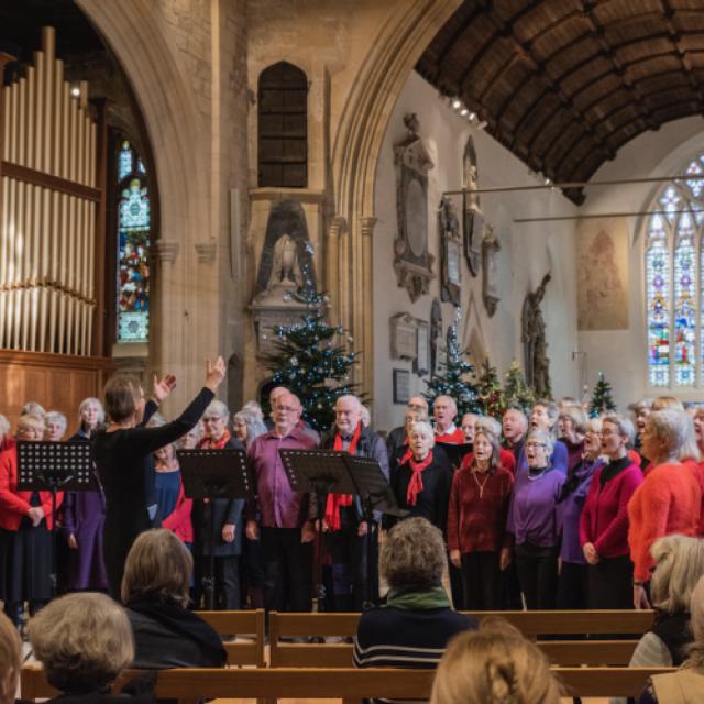 BoA-Xmas-Tree-fest-Dec-2023-Jane-arms-up-500x500