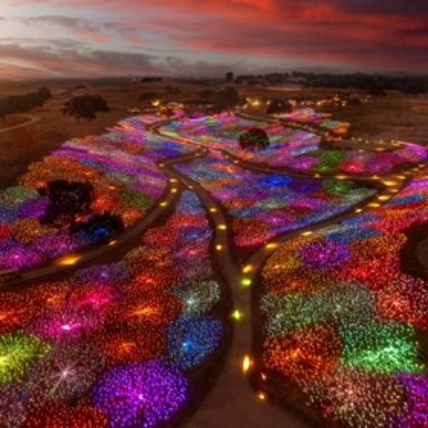 Roseberry road studios