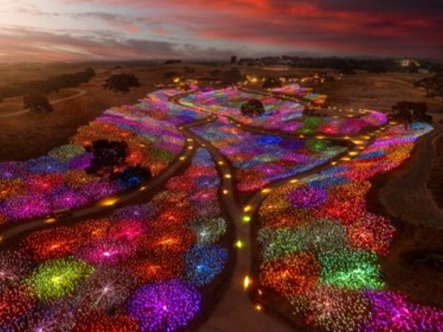 Roseberry road studios