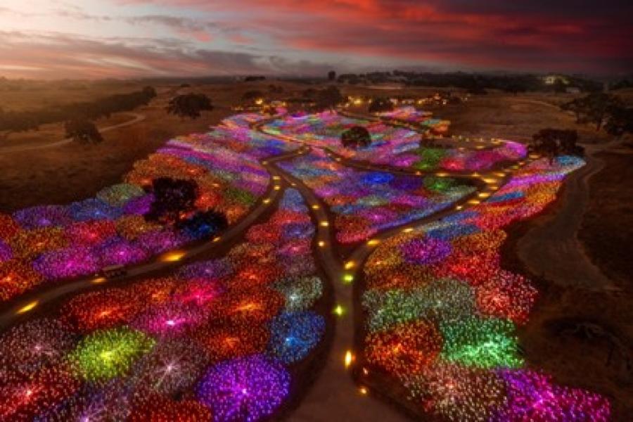 Roseberry road studios