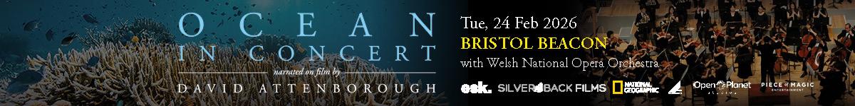 Nearfield 1200 x 150 Website Banner[12]