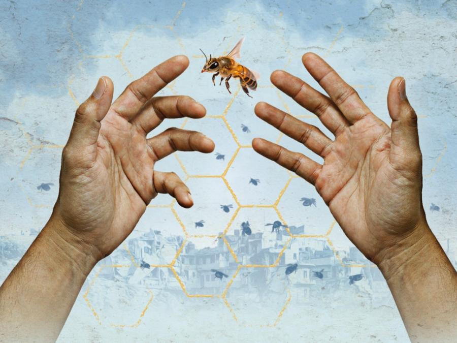 beekeeper-social-hands-1920x1080px