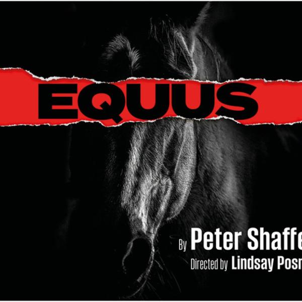 equus-845x623