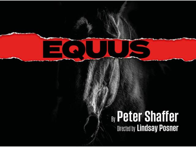 equus-845x623