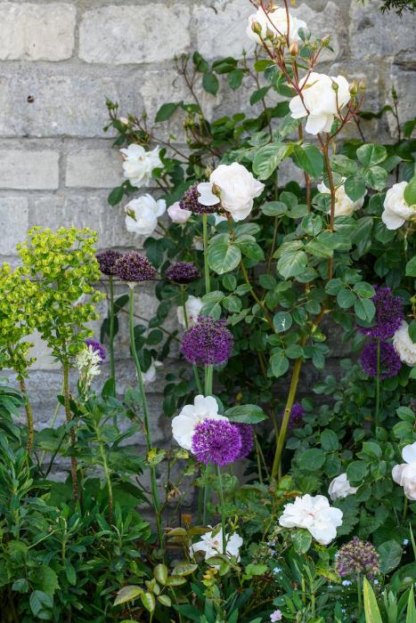 JI_0523_CaissonHouse_093