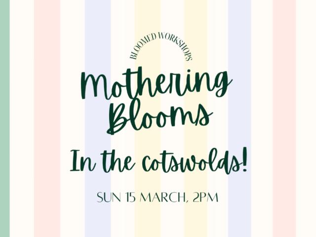 01KGSVY30AJYHJF6H5ZVWKZN9J-v1