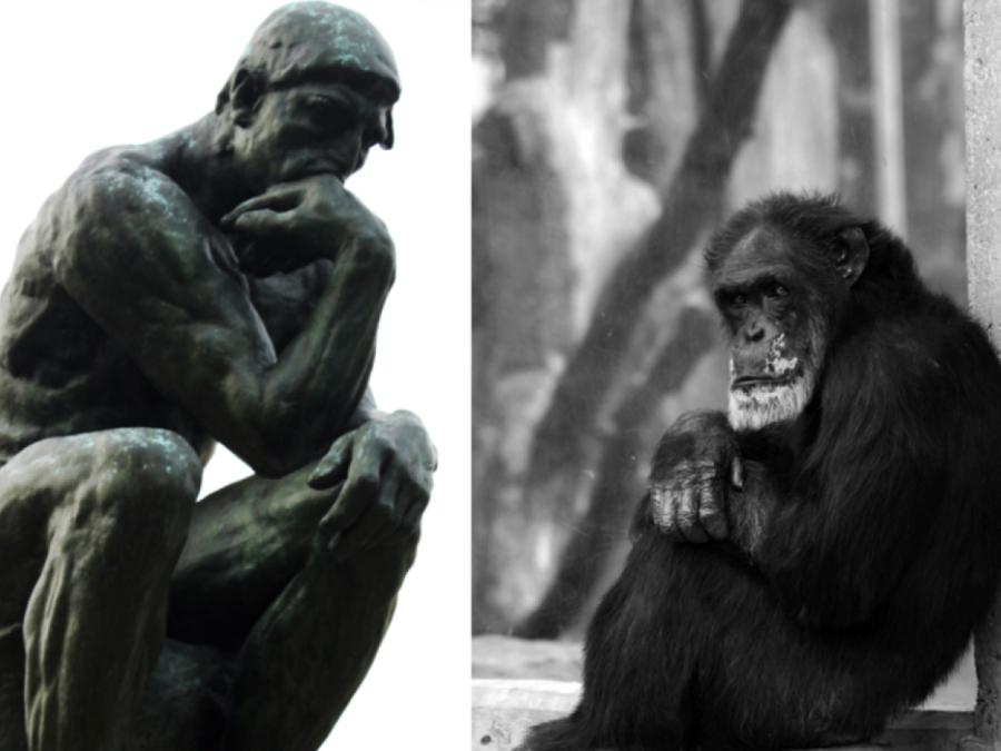 Don’t resize - 1000x650 website image