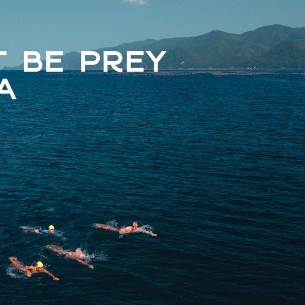 dontbeprey web banner