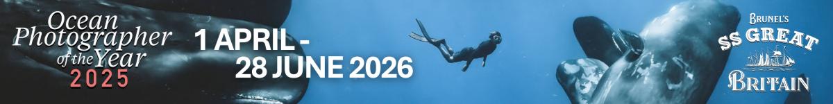 nearfield Footer Banner Advert (1200x150) - OPY