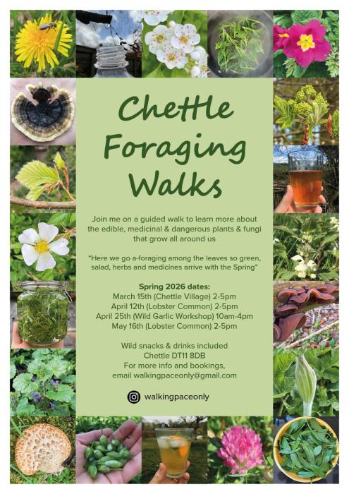 Foraging walks flyer Spring 2026