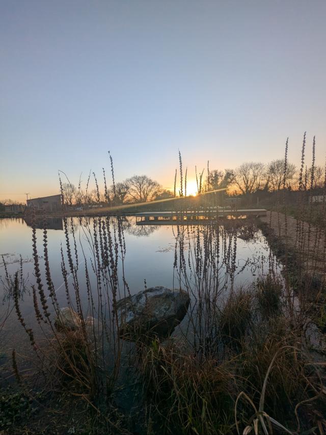 PXL_20251219_154101102 (1)