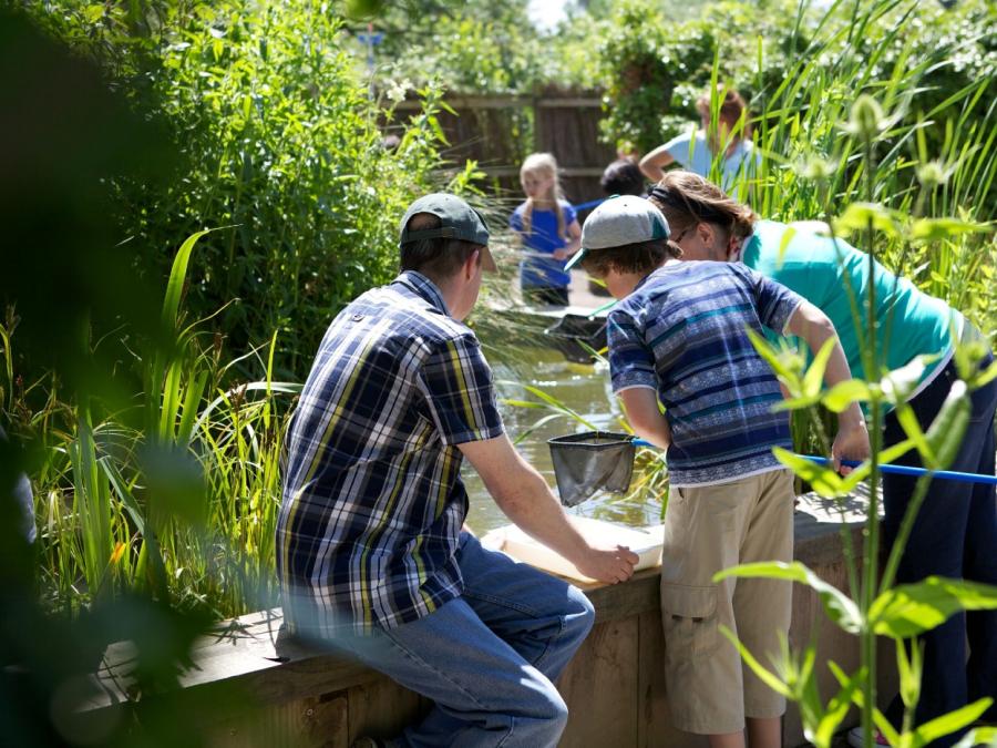 WWT Slimbridge Spring SEND Days