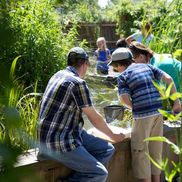 WWT Slimbridge Spring SEND Days