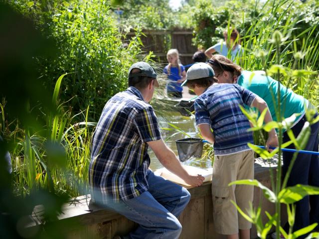 WWT Slimbridge Spring SEND Days