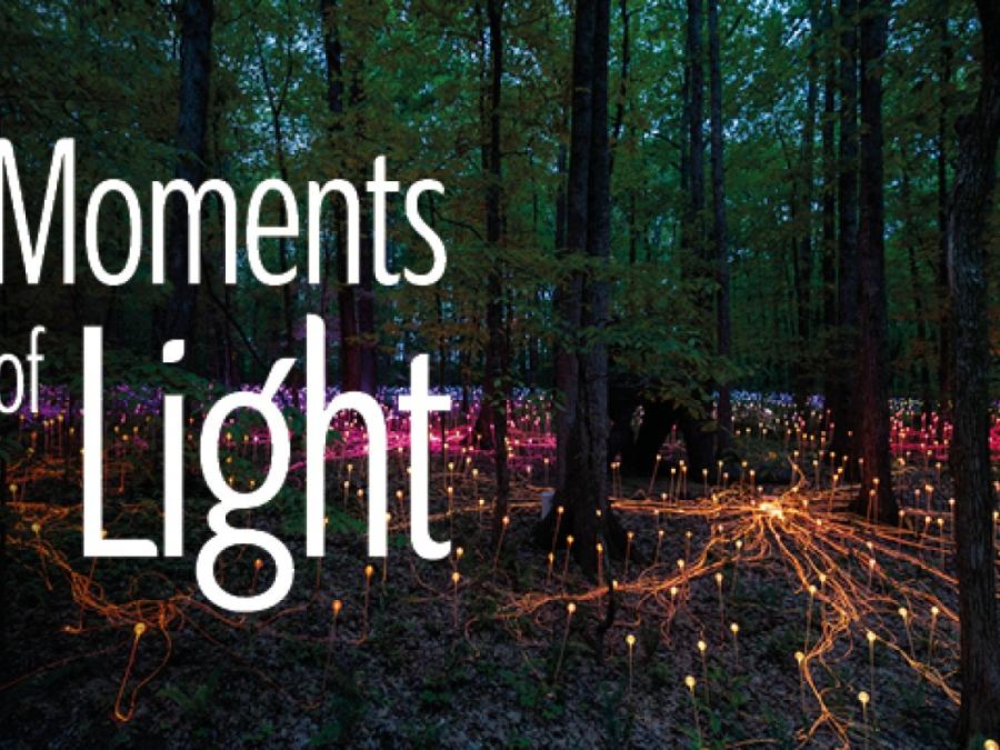 DH_Moments of Light_600x300_Web_Banner_03