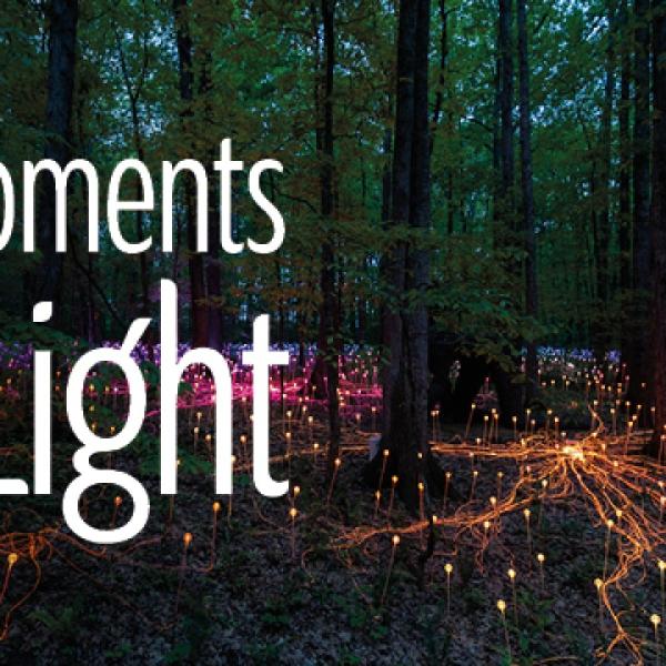 DH_Moments of Light_600x300_Web_Banner_03