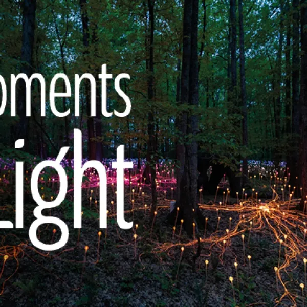DH_Moments of Light_600x300_Web_Banner_03