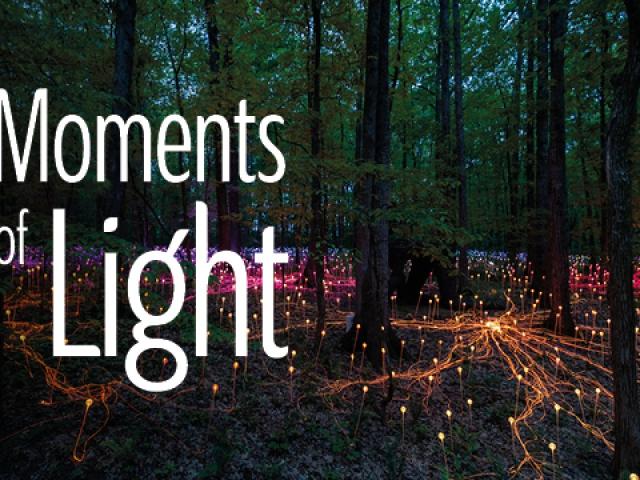 DH_Moments of Light_600x300_Web_Banner_03