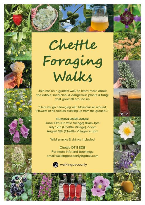 Foraging walks flyer Summer 2026
