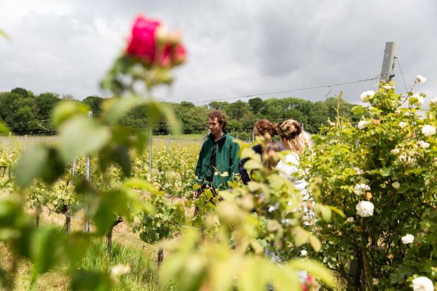 Open Farm Sunday 2024-1