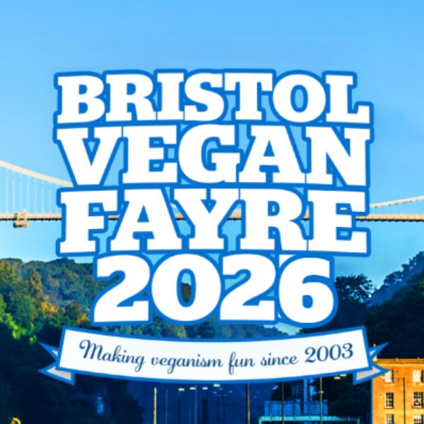 BVF-26-FB-poster-without-date-final