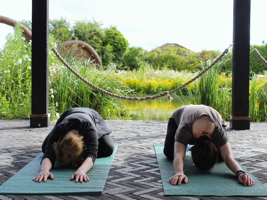 Evening Waterside Yoga