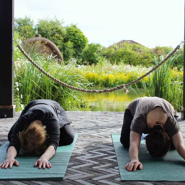 Evening Waterside Yoga