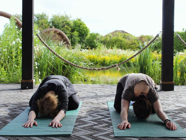 Evening Waterside Yoga